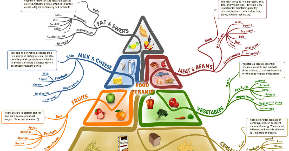 Food pyramid components picture