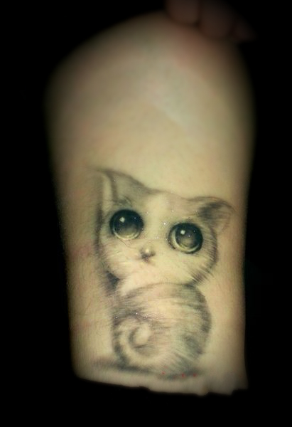free tattoo designs kitty tattoo design free tattoo designs kitty tattoo design