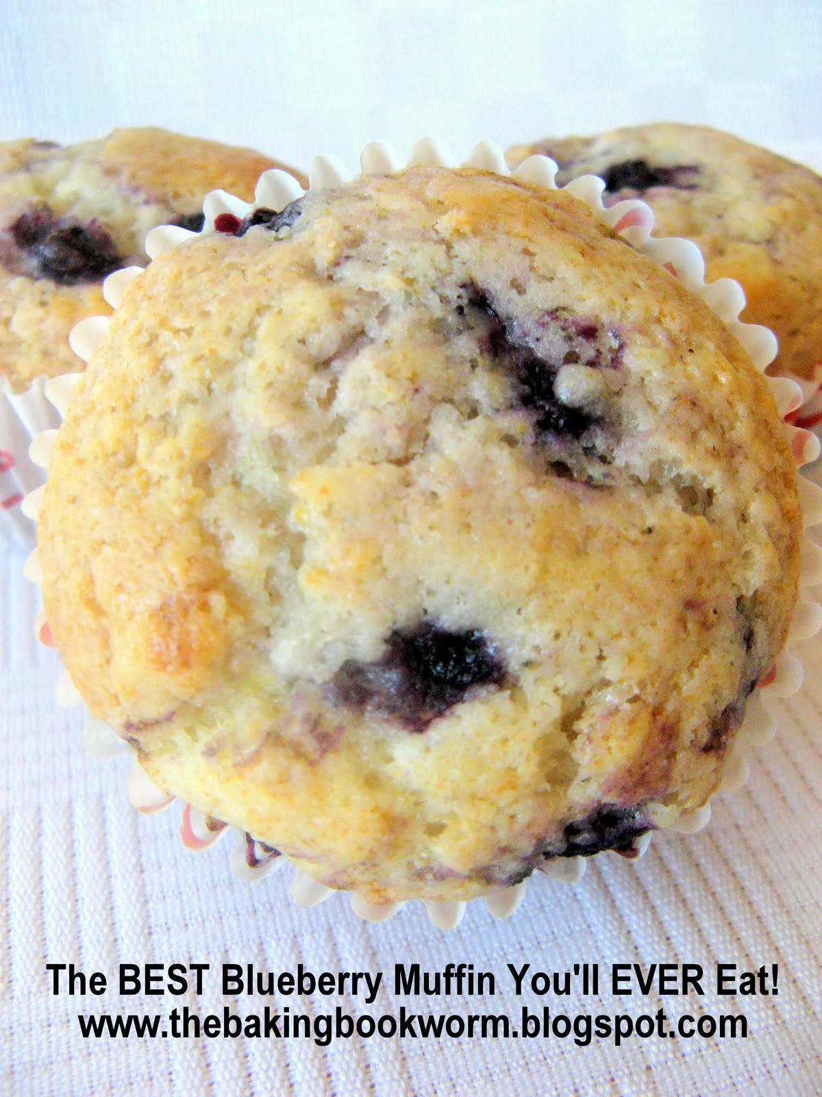 The Baking Bookworm The BEST Blueberry Muffins You'll EVER Eat