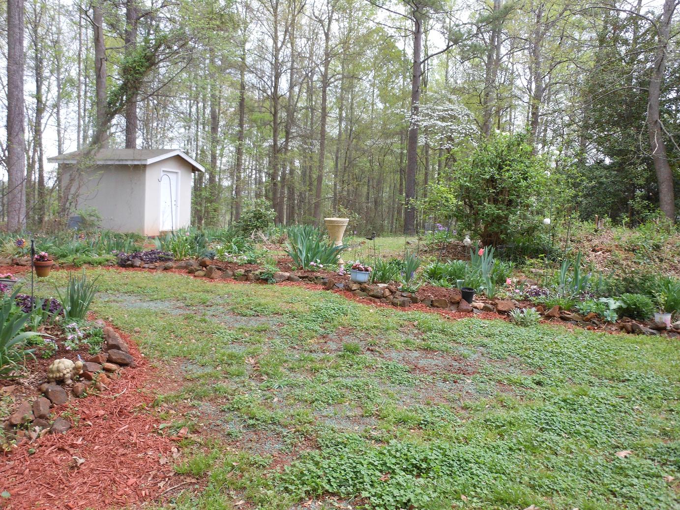 Leslie's Garden and Other Delights March 2012