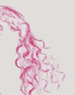 como desenhar cabelo cacheado ~ Arte vício