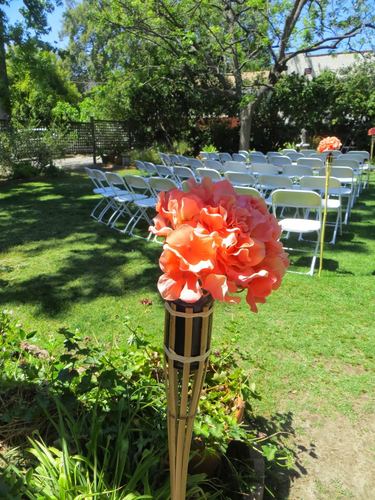 Sweetie Suz The Rosenberg Wedding, Eagle Rock, California May 2, 2015
