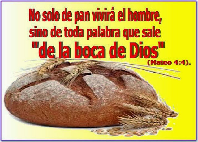 MARANATHA!!!: No solo de pan vivirá el hombre...