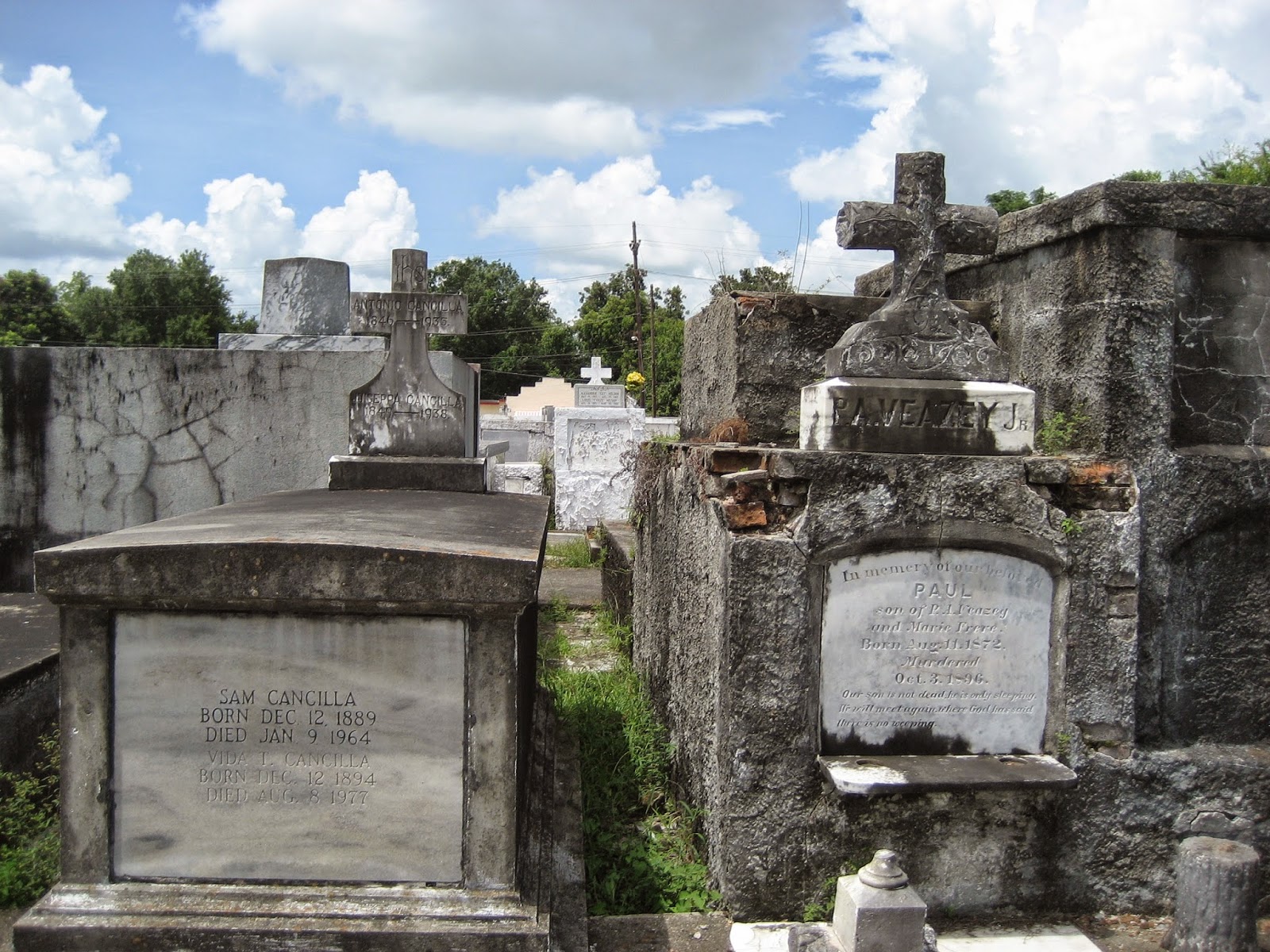 Living Rootless Louisiana New Iberia St. Peter's Cemetery