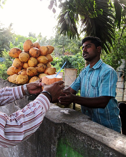 giving the customer his coconut