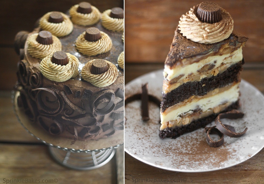 chocolate sprinkle cake
