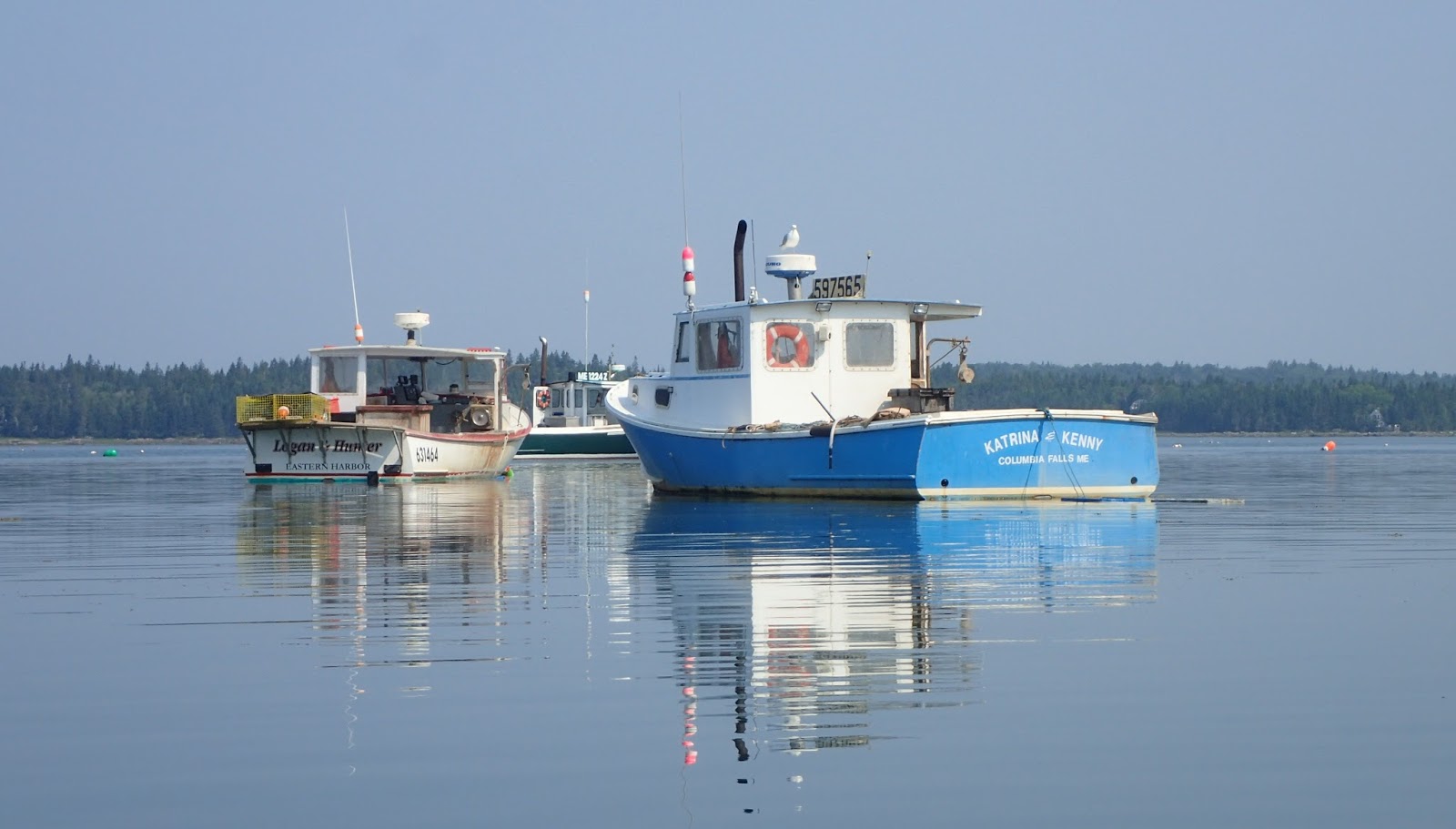 PenobscotPaddles Moose Neck, South Addison, Maine