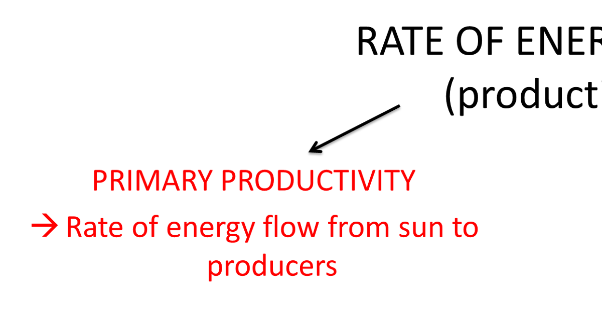 What I learnt in Biology this week..... Energy transfers within ecosystem