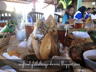 Pawon Pasundan, Bali, Poto travel, Makan di Bali