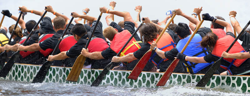 dragon boat racing muscles ganocafe dc top 3 local social sports in dc dragon boat racing muscles ganocafe dc top 3 local social sports in dc