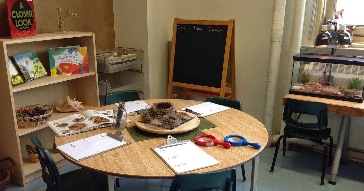 Wonders in Kindergarten: Batty for Bats!