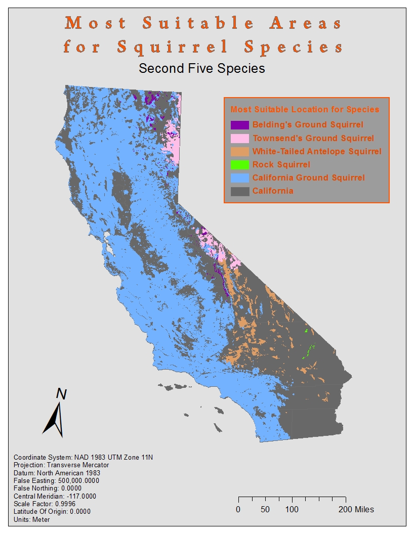 species of squirrels living in the southern inland portion of california and the northern coastal sierra species this brings us to the conclusion that species of squirrels living in the southern inland portion of california and the northern coastal sierra species this brings us to the conclusion that