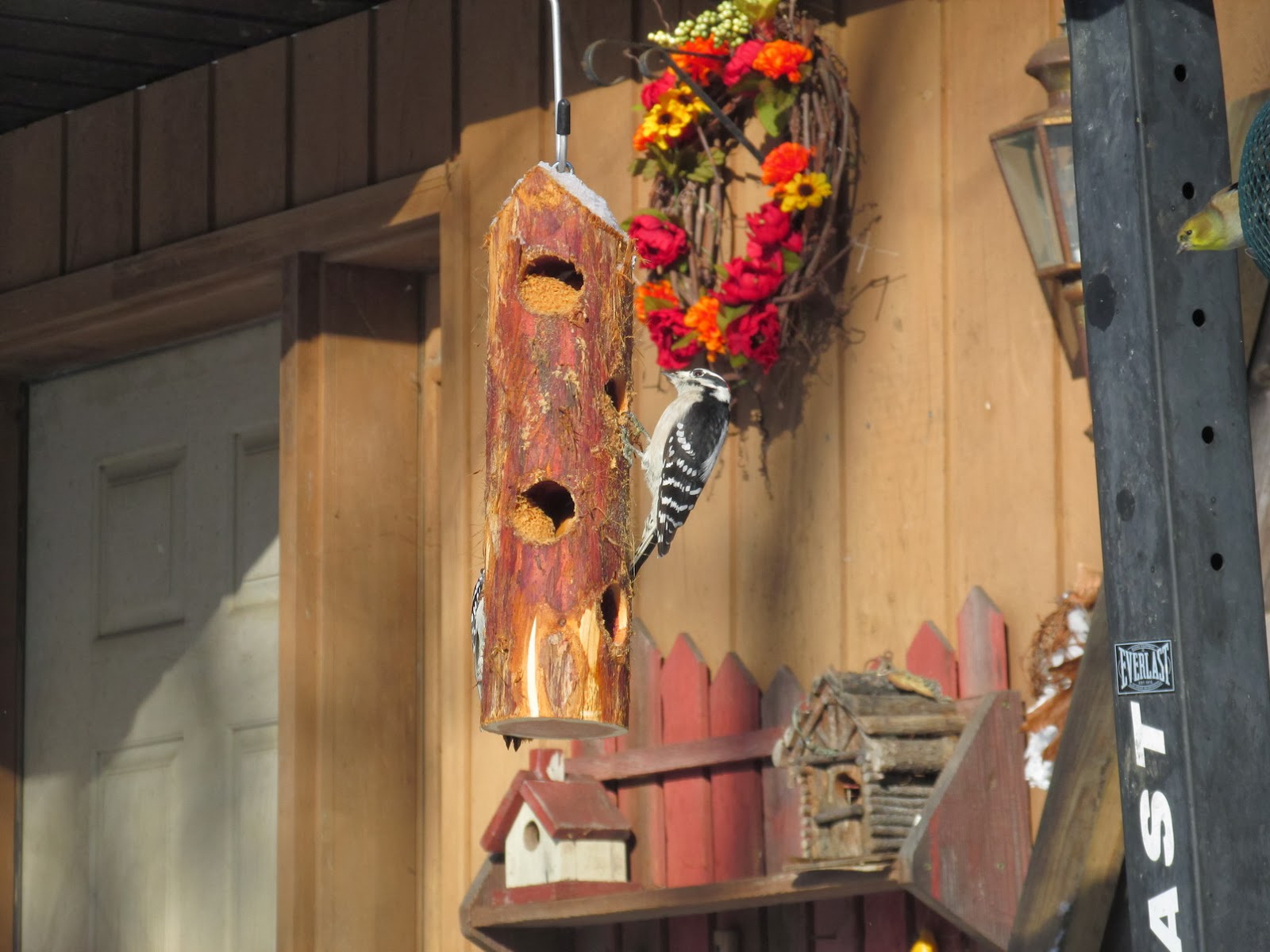 Grandma Pearl's Backporch Favorite Bird Feeders