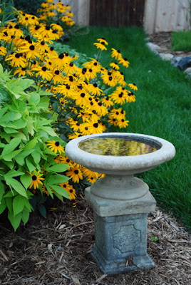 Garden Design