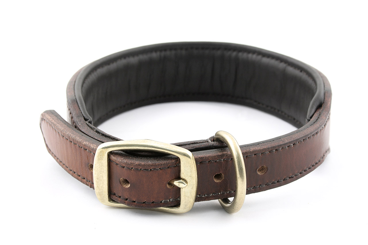 Dog Collar Buckles Uk Dog Collar Buckles Uk