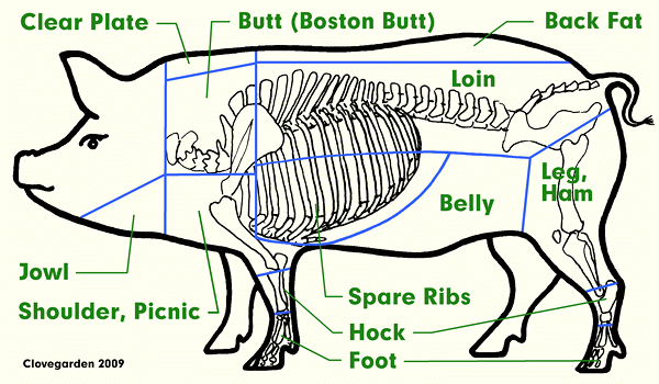 Can I Give A Pork Shoulder Bone To My Dog Can I Give A Pork Shoulder Bone To My Dog