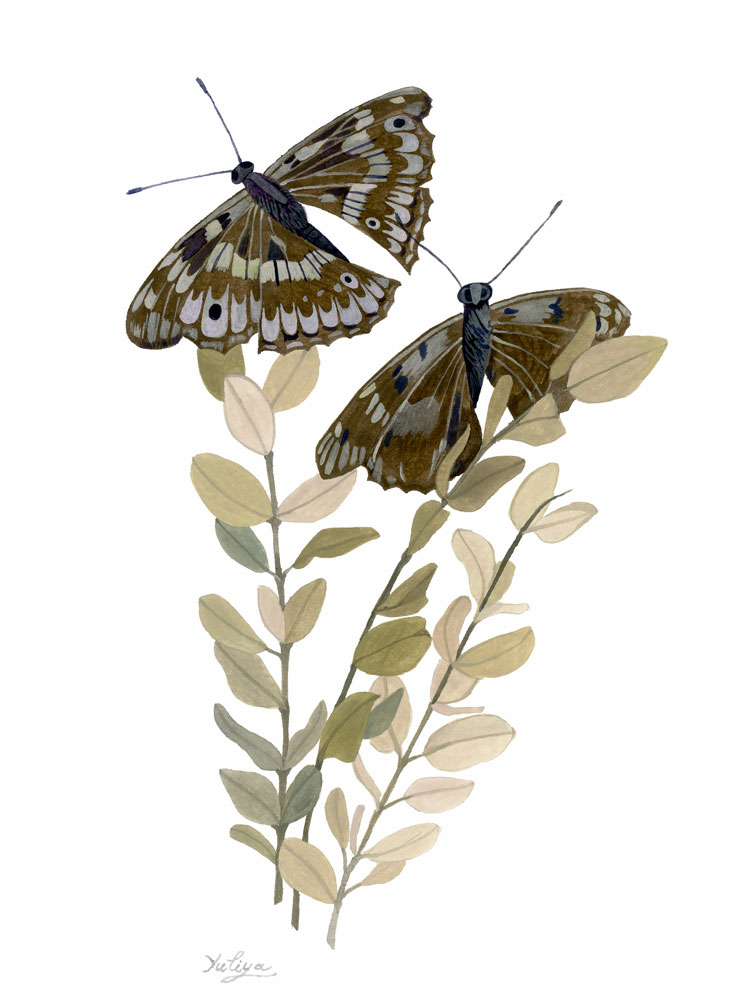 golden section two brown butterflies christmas bulb checker