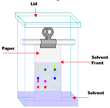 tlc and paper chromatography This is either the chromatography paper or a thin layer chromatography plate (tlc plate) the chromatography paper is made of cellulose and the tlc plate is made of a sheet of plastic coated with silica gel or aluminium hydroxide in each case there are free –oh groups pointing outwards for mobile phase mobile phase this is. tlc and paper chromatography This is either the chromatography paper or a thin layer chromatography plate (tlc plate) the chromatography paper is made of cellulose and the tlc plate is made of a sheet of plastic coated with silica gel or aluminium hydroxide in each case there are free –oh groups pointing outwards for mobile phase mobile phase this is.