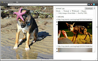 jpg software free download jpg software free download