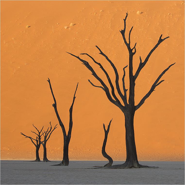 Emerging Photographers, Best Photo of the Day in Emphoka by Stephen King Emerging Photographers, Best Photo of the Day in Emphoka by Stephen King