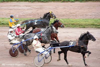 Бега на Центральнгом Московском ипподроме начало дистанции
