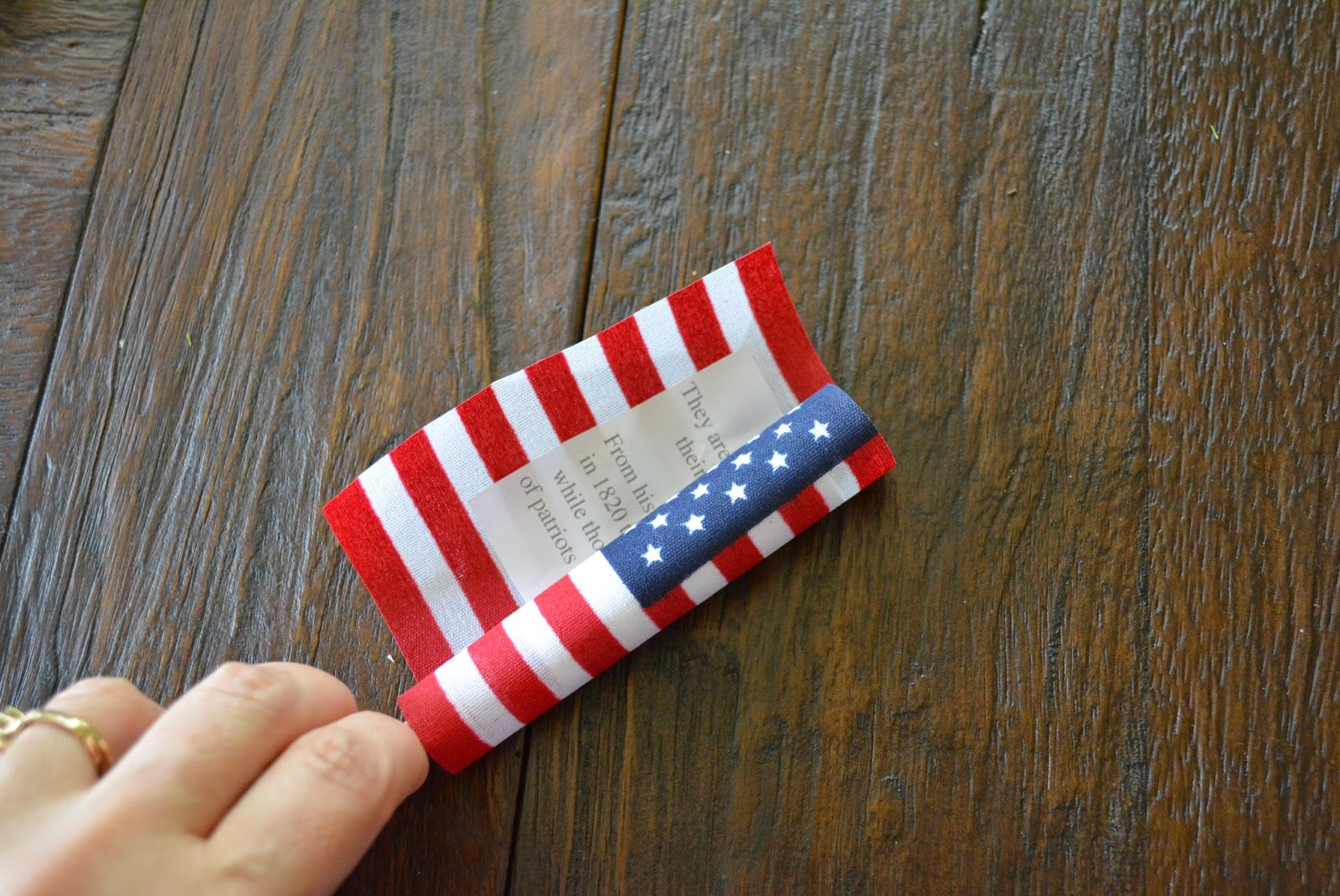 Easy & Meaningful Memorial Day Party Favor & Idea