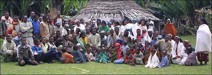 Ipm innovation lab projects The Thompson Treehouse: Interesting tidbits about Kenya!