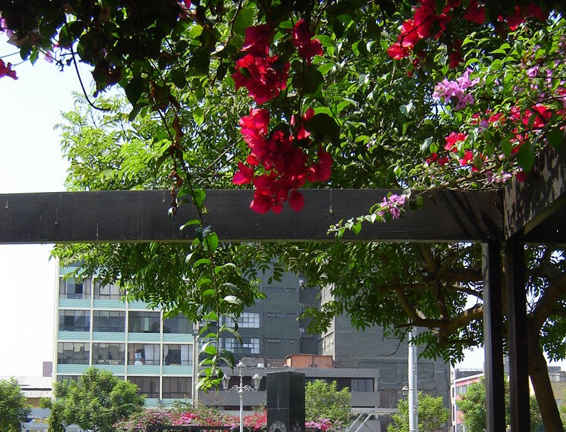 YO RECUERDO: El sitio en la actualidad - PARQUE DE LA DEMOCRACIA