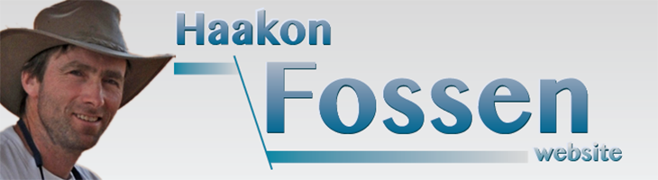 Ibrahim Omar Geophysicist Structural Geology by Haakon Fossen