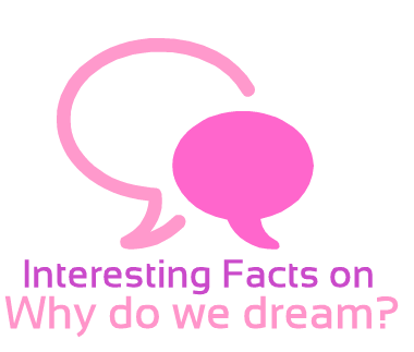 essay on why we dream essay on why we dream
