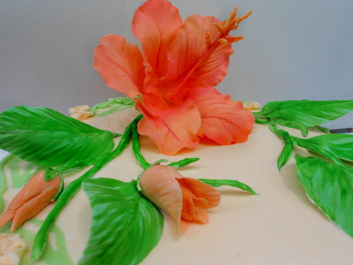 Vegetarian Yogini Piece of Cake