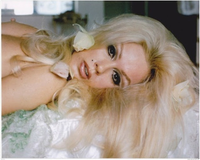 Mamie Van Doren ("Excessive College Confidential") 88 MAMIE+VAN+DOREEN+(1)