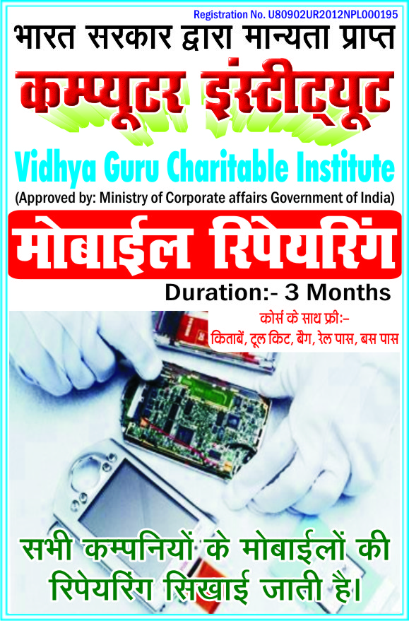 Vidhya Guru Charitable Institute