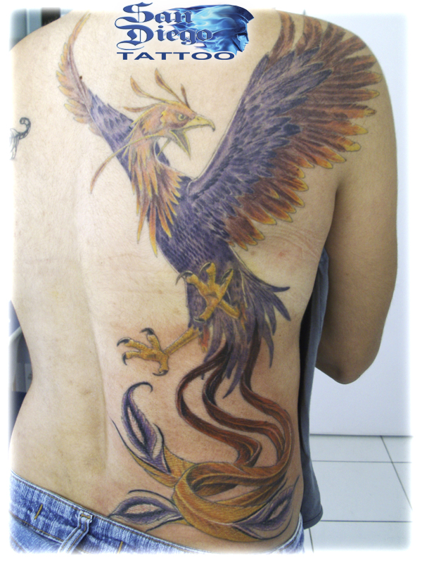 Sd Tattoo Sd Tattoo
