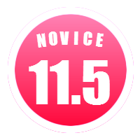 Novice 11.5 Badge