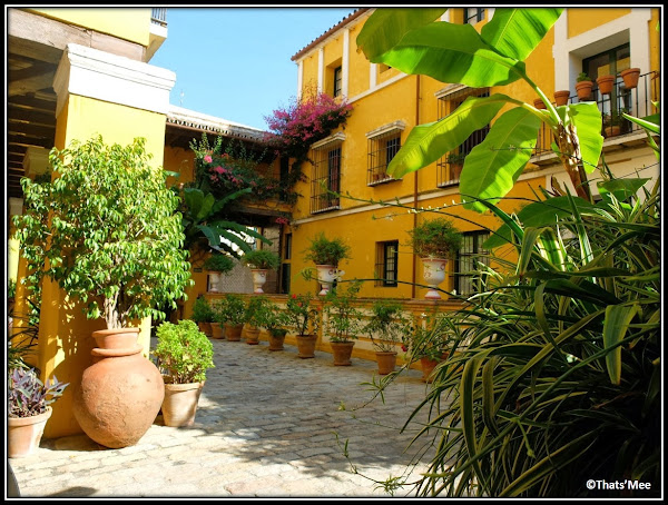 Séville Hôtel Casas de la Juderia patio 