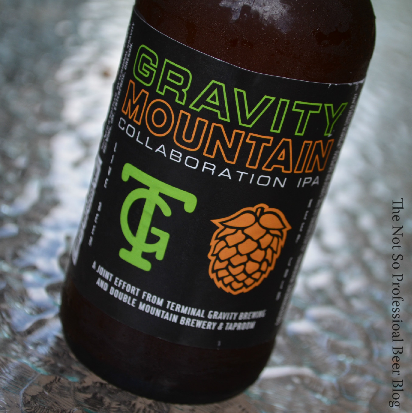 Review Gravity Mountain, Terminal Gravity The Not So Professional