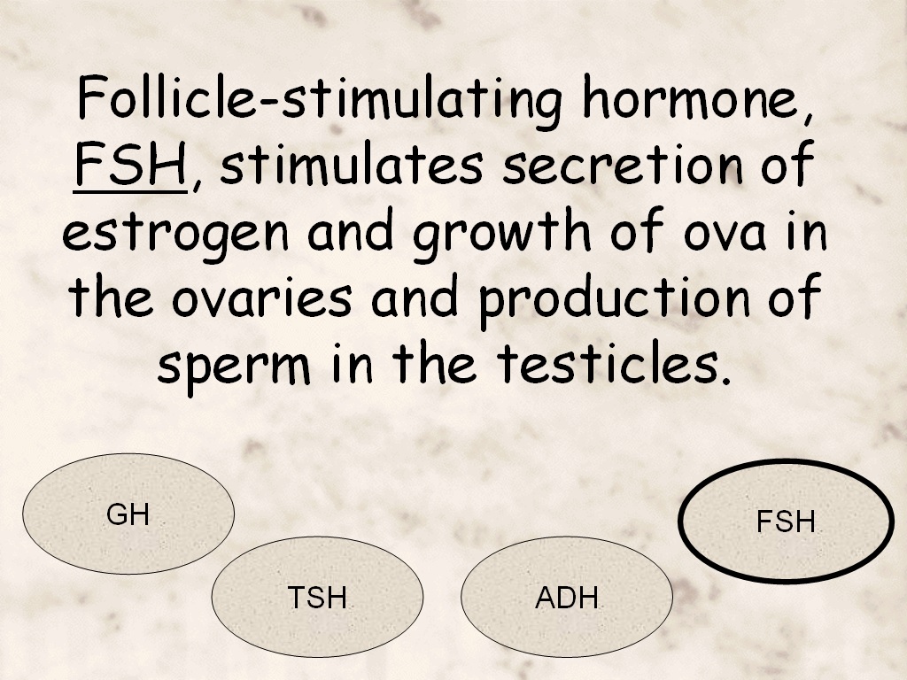 Student Survive 2 Thrive Pituitary Hormones Practice Test