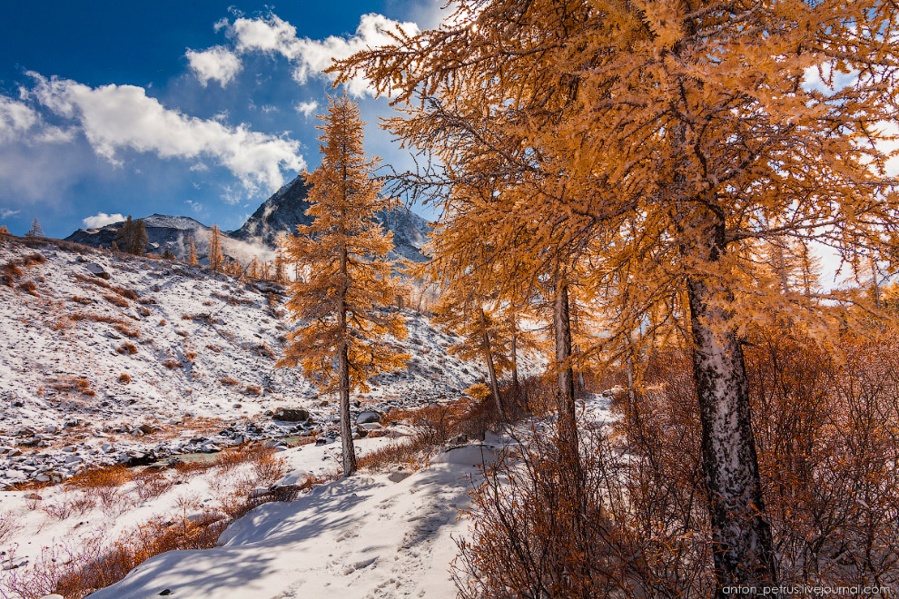 Осень на Алтае (11 фото) 
