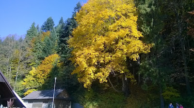Na polanie pod Trzema Koronami Na polanie pod Trzema Koronami