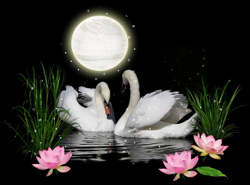 http://4.bp.blogspot.com/-TuF4fibrIDw/UyqvOXXqd_I/AAAAAAAAAZc/sX8XG30x2bU/s1600/thien%2Bnga.gif