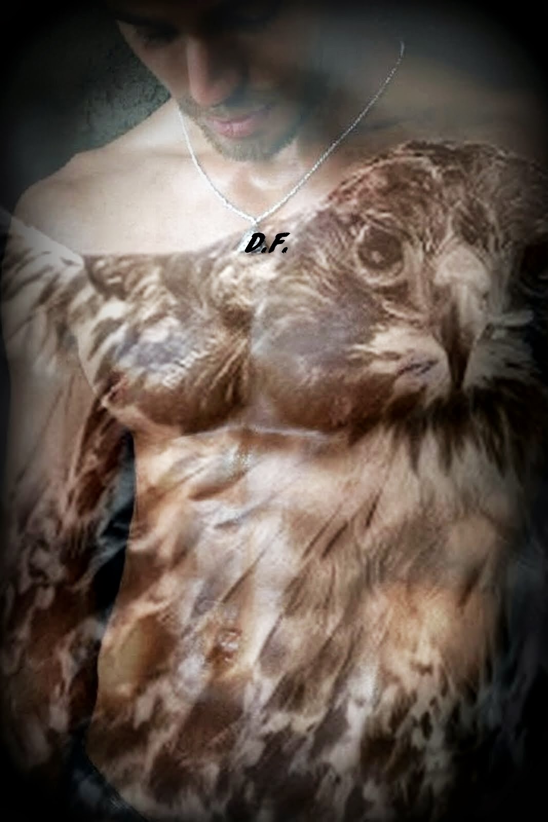 Io-Falco amurensis