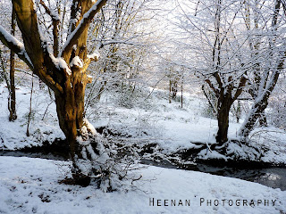 "The Brumal Brook" by Heenan Photography