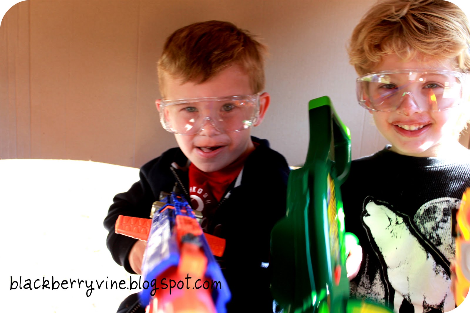 The Blackberry Vine Nerf Party