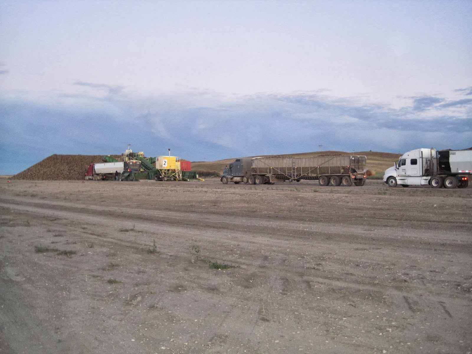 Gypsies In A Caravan Sugar Beet Harvest in Culbertson MT
