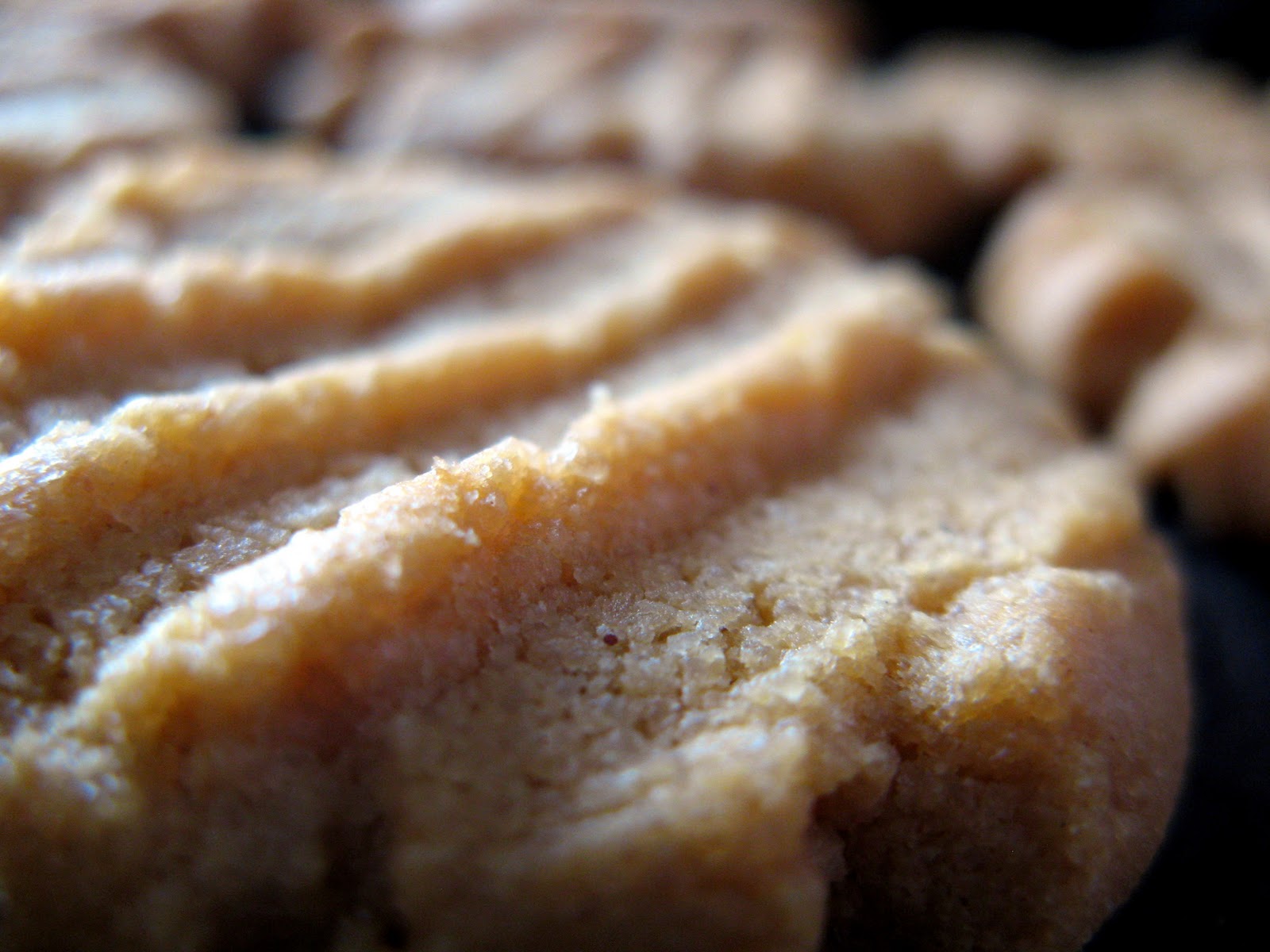 Crunchy Creamy Sweet Flourless Peanut Butter Cookies
