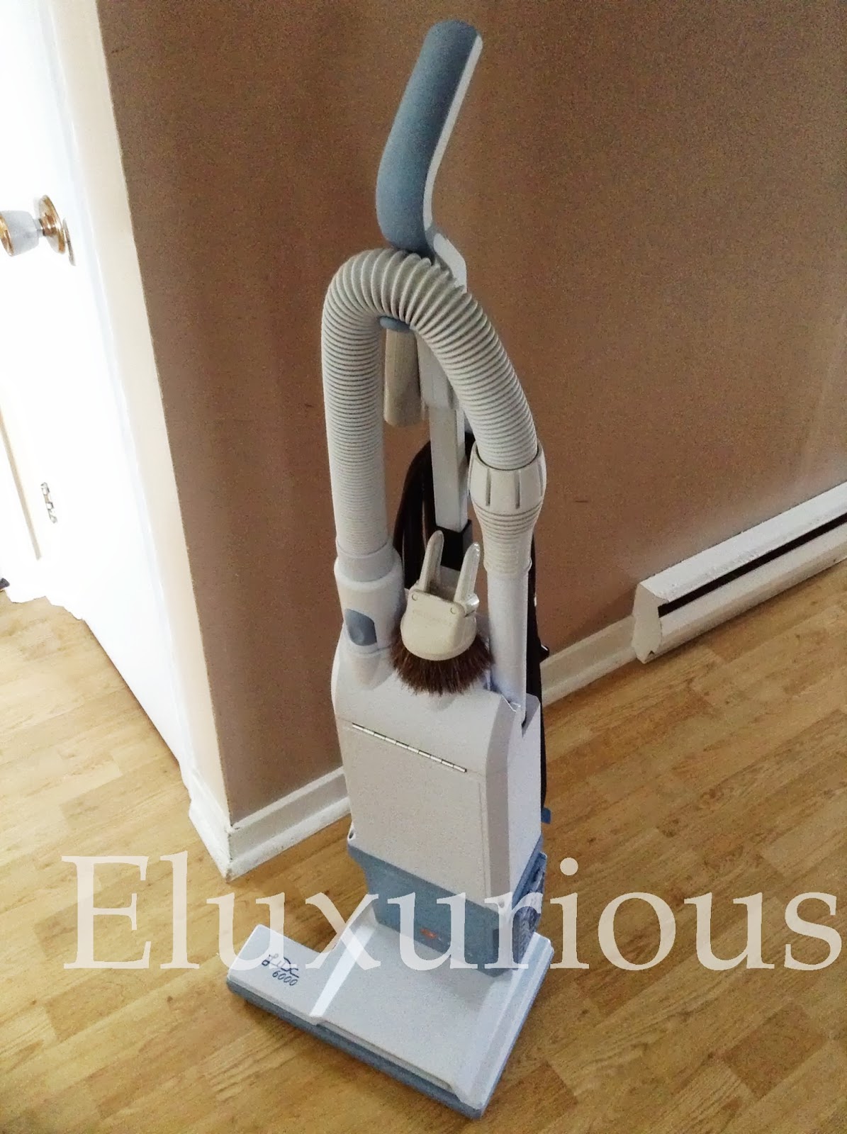 Eluxurious A Clean and Upright Citizen