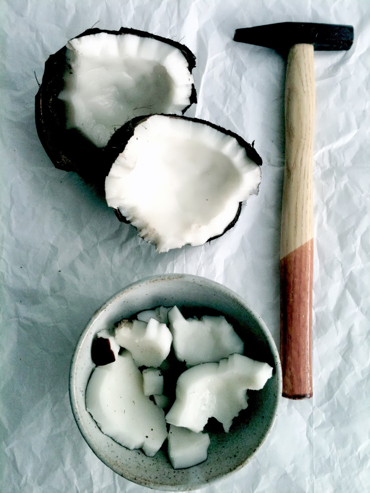 Passionately Raw! How to Make Coconut Milk
