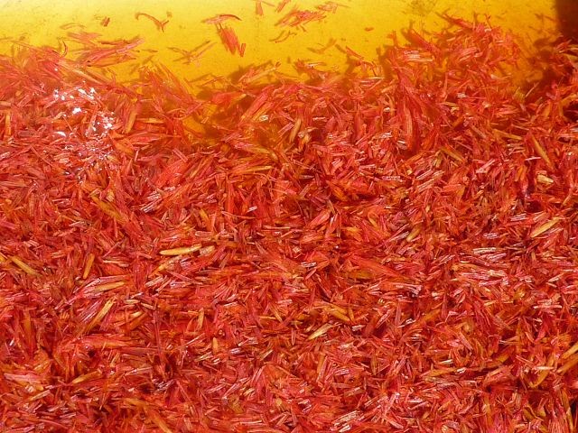 Wolle Natur Farben : Mit Safran gefärbt