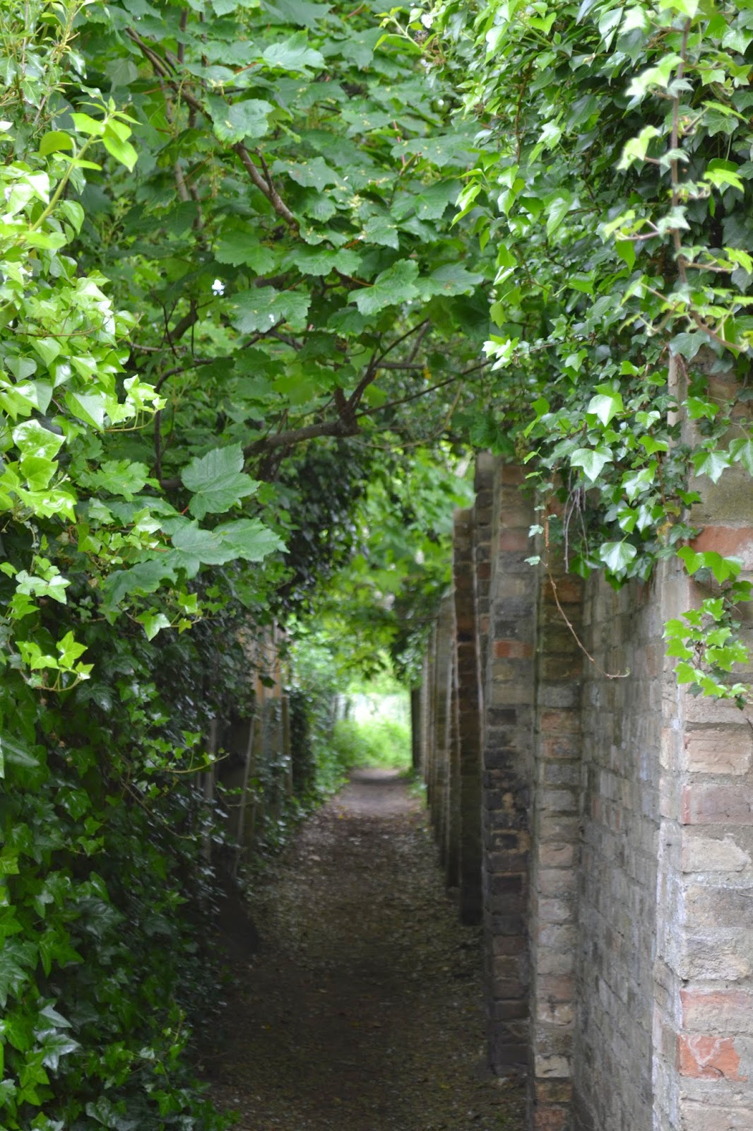 Trail to St. Ives